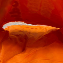 Load image into Gallery viewer, Stuffed Bag of Ramen Toy - Orange